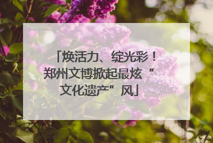 焕活力、绽光彩！郑州文博掀起最炫“文化遗产”风