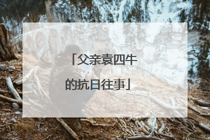 父亲袁四牛的抗日往事