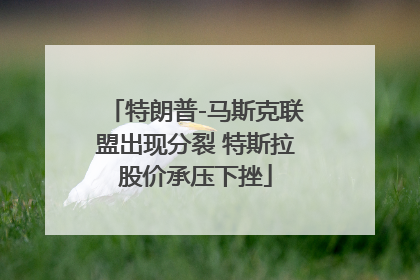 特朗普-马斯克联盟出现分裂 特斯拉股价承压下挫