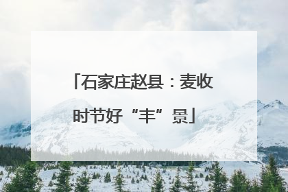 石家庄赵县：麦收时节好“丰”景