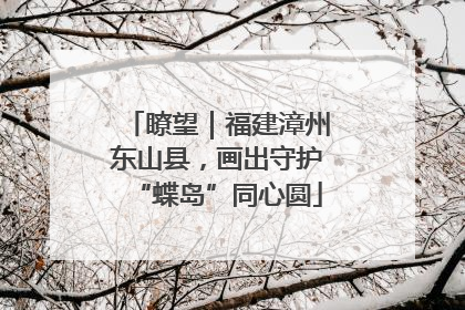 瞭望｜福建漳州东山县，画出守护“蝶岛”同心圆