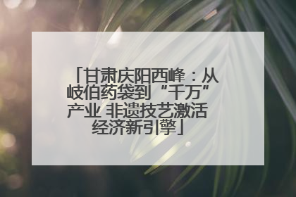 甘肃庆阳西峰：从岐伯药袋到“千万”产业 非遗技艺激活经济新引擎