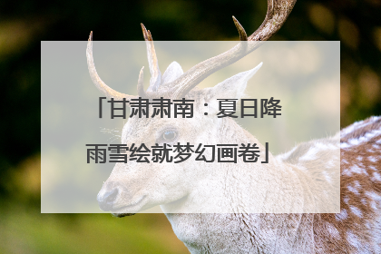 甘肃肃南：夏日降雨雪绘就梦幻画卷