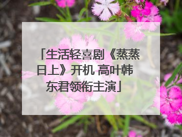 生活轻喜剧《蒸蒸日上》开机 高叶韩东君领衔主演