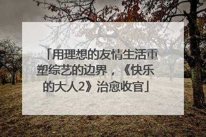 用理想的友情生活重塑综艺的边界，《快乐的大人2》治愈收官