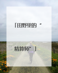 田野里的“精算师”