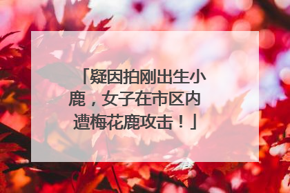 疑因拍刚出生小鹿，女子在市区内遭梅花鹿攻击！
