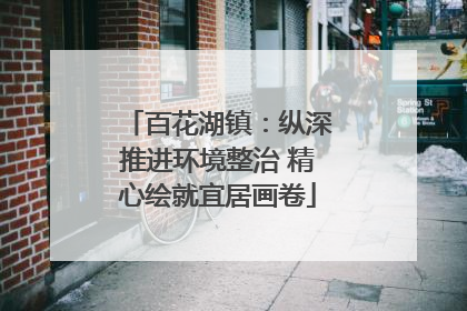 百花湖镇：纵深推进环境整治 精心绘就宜居画卷