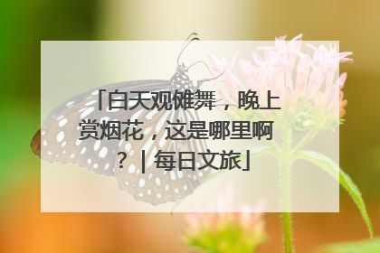 白天观傩舞，晚上赏烟花，这是哪里啊？｜每日文旅
