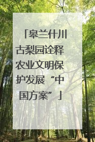 皋兰什川古梨园诠释农业文明保护发展“中国方案”