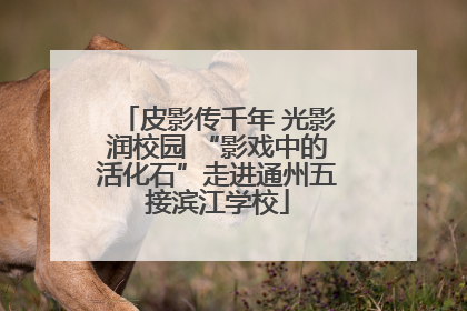 皮影传千年 光影润校园 “影戏中的活化石”走进通州五接滨江学校