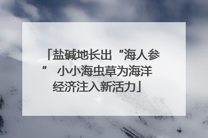 盐碱地长出“海人参” 小小海虫草为海洋经济注入新活力