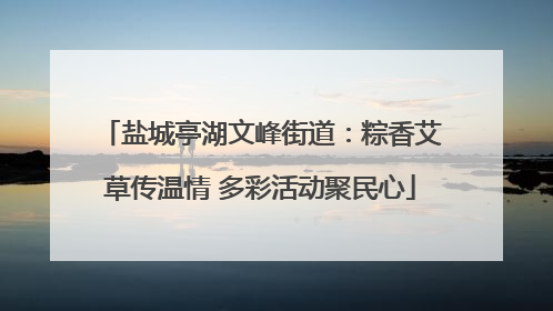 盐城亭湖文峰街道：粽香艾草传温情 多彩活动聚民心