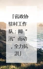 省政协驻村工作队：闻“汛”而动，全力抗洪