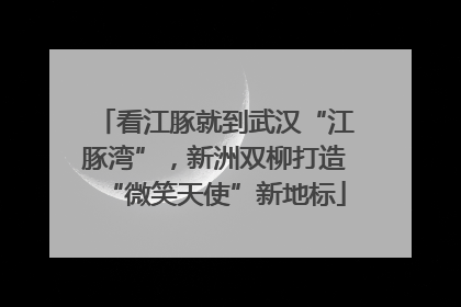 看江豚就到武汉“江豚湾”，新洲双柳打造“微笑天使”新地标
