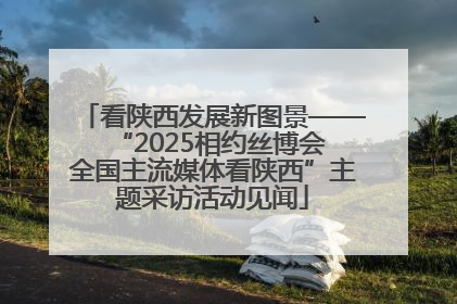 看陕西发展新图景——“2025相约丝博会 全国主流媒体看陕西”主题采访活动见闻