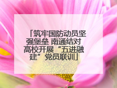 筑牢国防动员坚强堡垒 南通结对高校开展“五进融建”党员联训