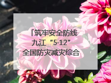 筑牢安全防线 九江“5·12”全国防灾减灾综合演练在瑞昌举行（组图｜视频）