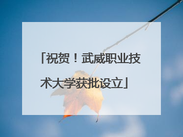 祝贺！武威职业技术大学获批设立