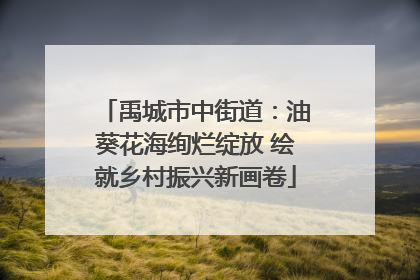 禹城市中街道：油葵花海绚烂绽放 绘就乡村振兴新画卷