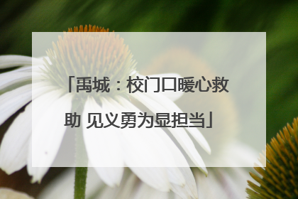 禹城：校门口暖心救助 见义勇为显担当