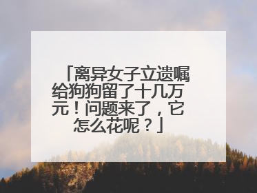离异女子立遗嘱给狗狗留了十几万元！问题来了，它怎么花呢？