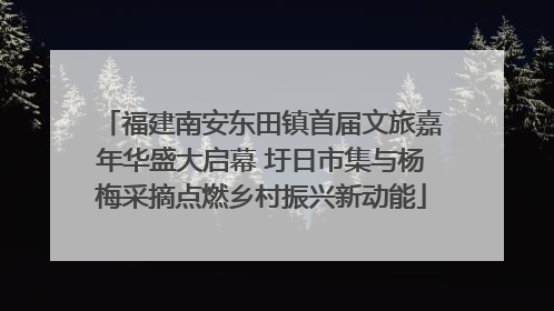 福建南安东田镇首届文旅嘉年华盛大启幕 圩日市集与杨梅采摘点燃乡村振兴新动能
