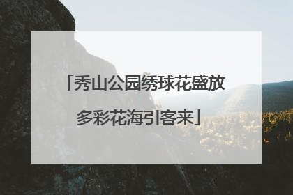 秀山公园绣球花盛放 多彩花海引客来
