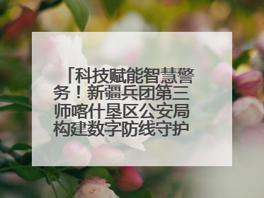 科技赋能智慧警务！新疆兵团第三师喀什垦区公安局构建数字防线守护边疆平安