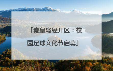 秦皇岛经开区：校园足球文化节启幕