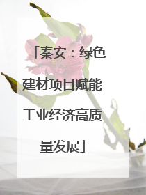 秦安：绿色建材项目赋能工业经济高质量发展