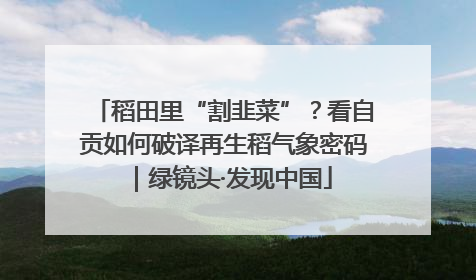 稻田里“割韭菜”？看自贡如何破译再生稻气象密码｜绿镜头·发现中国