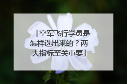 空军飞行学员是怎样选出来的？两大指标至关重要