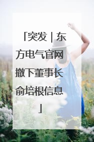 突发｜东方电气官网撤下董事长俞培根信息