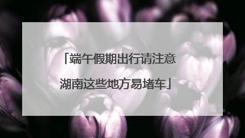 端午假期出行请注意 湖南这些地方易堵车
