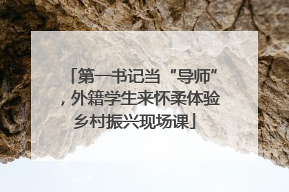 第一书记当“导师”，外籍学生来怀柔体验乡村振兴现场课