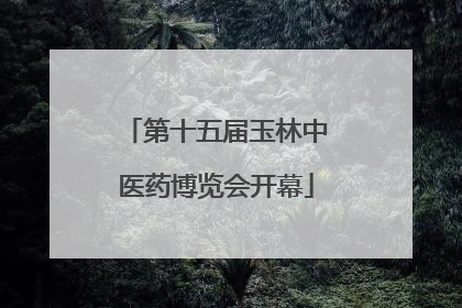 第十五届玉林中医药博览会开幕