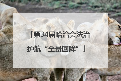 第34届哈洽会法治护航“全景回眸”