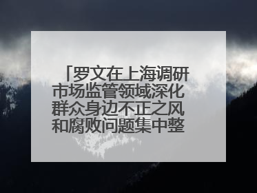 罗文在上海调研市场监管领域深化群众身边不正之风和腐败问题集中整治工作