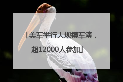 美军举行大规模军演，超12000人参加