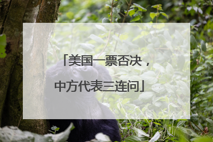 美国一票否决，中方代表三连问