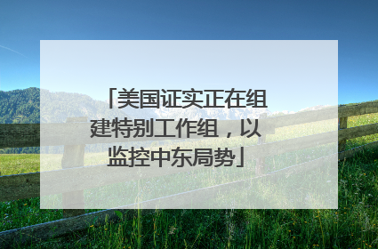 美国证实正在组建特别工作组，以监控中东局势