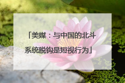 美媒：与中国的北斗系统脱钩是短视行为