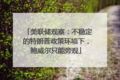 美联储观察：不稳定的特朗普政策环境下，鲍威尔只能旁观