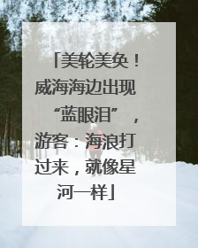 美轮美奂！威海海边出现“蓝眼泪”，游客：海浪打过来，就像星河一样