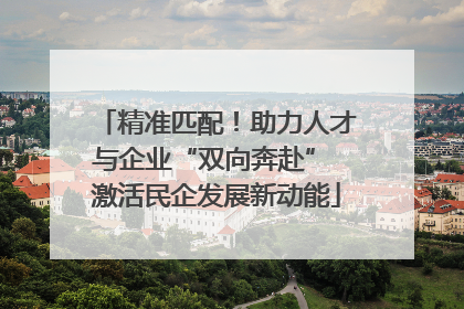 精准匹配！助力人才与企业“双向奔赴” 激活民企发展新动能