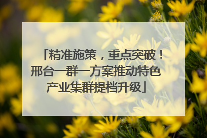 精准施策，重点突破！邢台一群一方案推动特色产业集群提档升级