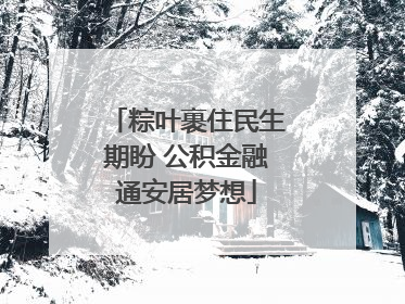 粽叶裹住民生期盼 公积金融通安居梦想