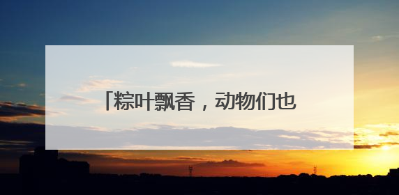 粽叶飘香，动物们也来“粽”享端午！