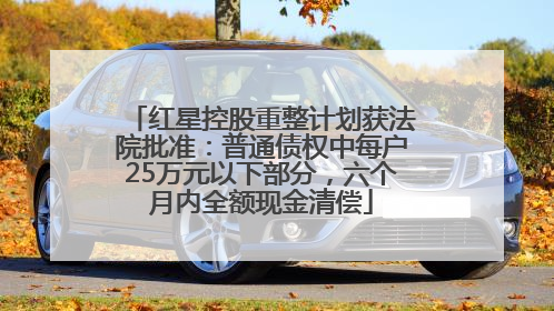 红星控股重整计划获法院批准：普通债权中每户25万元以下部分，六个月内全额现金清偿